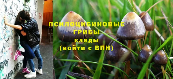 метадон Алексеевка